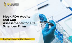 BioBoston Consulting team conducting a mock FDA audit for a pharmaceutical company