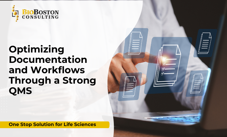 Optimizing QMS documentation in life sciences