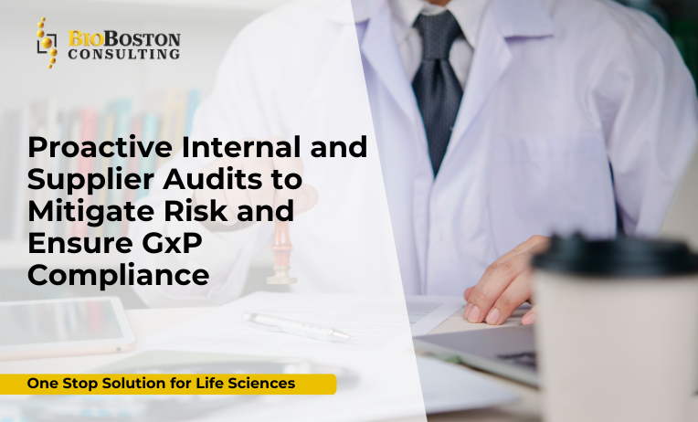 Proactive Internal and Supplier Audits to Mitigate Risk and Ensure GxP Compliance