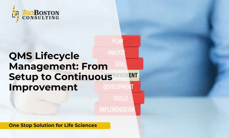 QMS Lifecycle Management From Setup to Continuous Improvement