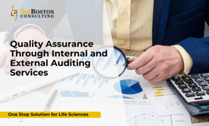 Key Components of Internal and External Audits