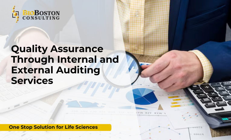 Key Components of Internal and External Audits