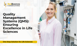 Quality Management System QMS consulting services