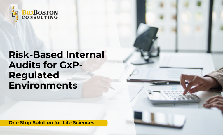 Risk Assessment & Audit Planning