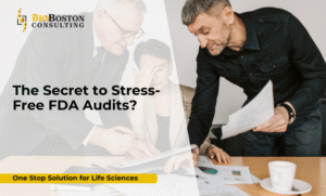BioBoston Consulting FDA inspection readiness services