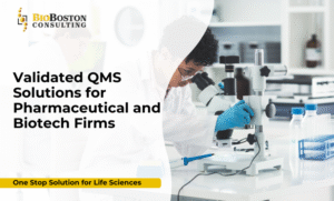 Why is QMS validation important in pharmaceuticals?