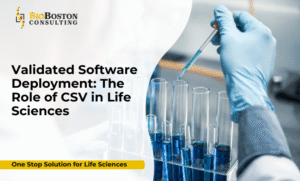 Validated software deployment in life sciences with CSV
