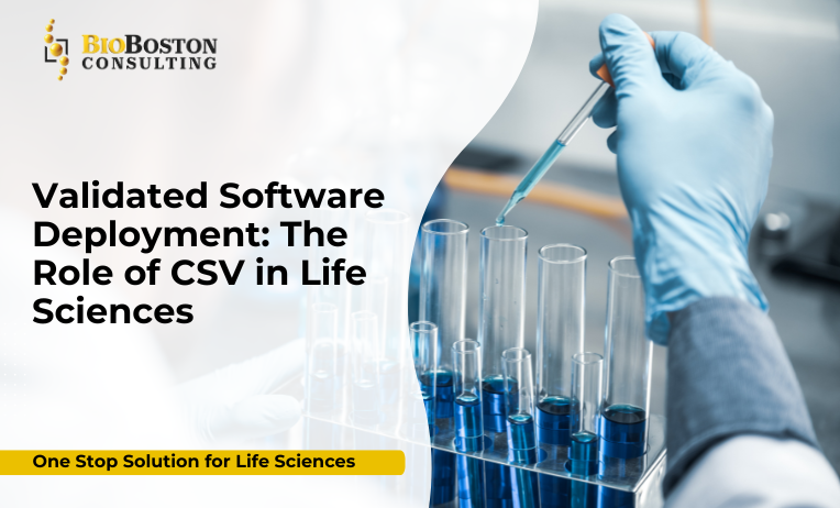 Validated software deployment in life sciences with CSV