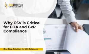Computer system validation for FDA and GxP compliance