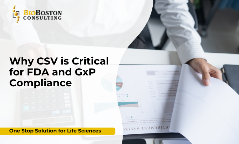Computer system validation for FDA and GxP compliance