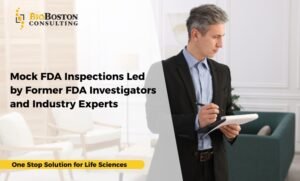Mock FDA inspections for life sciences companies using audit-informed simulations