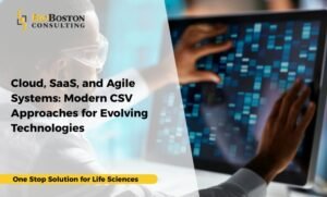 Risk-based CSV for cloud and SaaS systems in life sciences