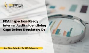 Risk-based internal audit program with CAPA remediation and inspection focus