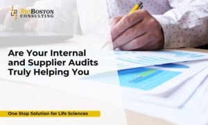 Supplier audit consulting for pharmaceutical companies