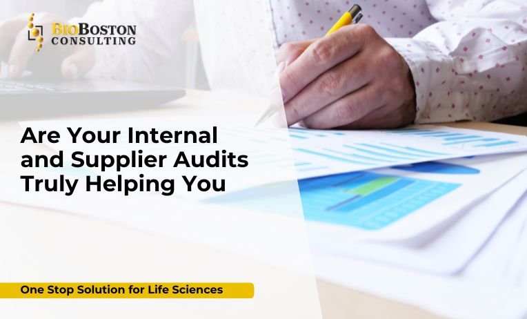 Supplier audit consulting for pharmaceutical companies