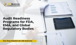 FDA audit readiness assessment for life sciences