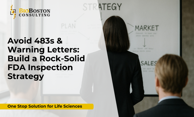 FDA inspection readiness consulting for biopharma