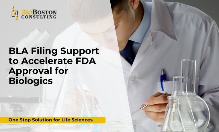 BLA Filing Support to Accelerate FDA Approval for Biologics 15 BLA filing support and audit readiness for biotech firm