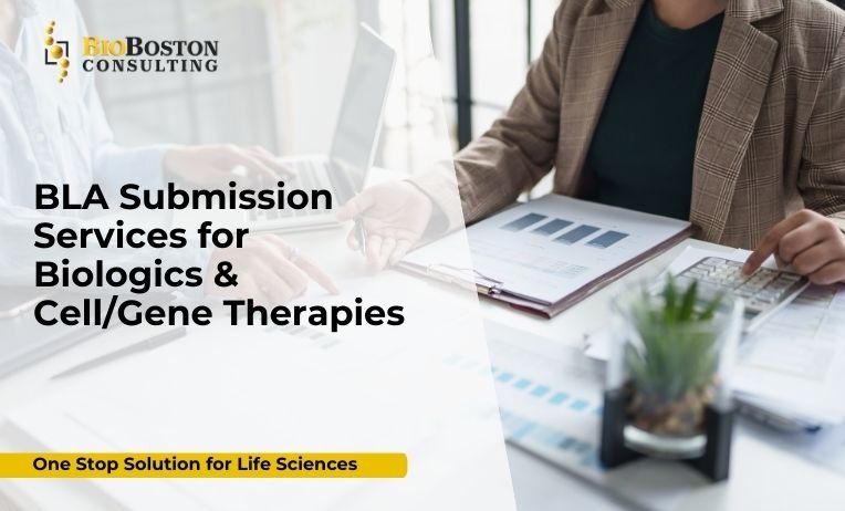 Audit-ready BLA submission for biologics