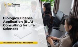 BioBoston Consulting BLA gap assessment