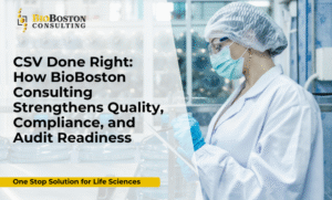 Computer System Validation (CSV) in life sciences