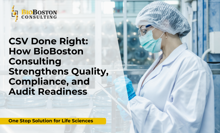 Computer System Validation (CSV) in life sciences