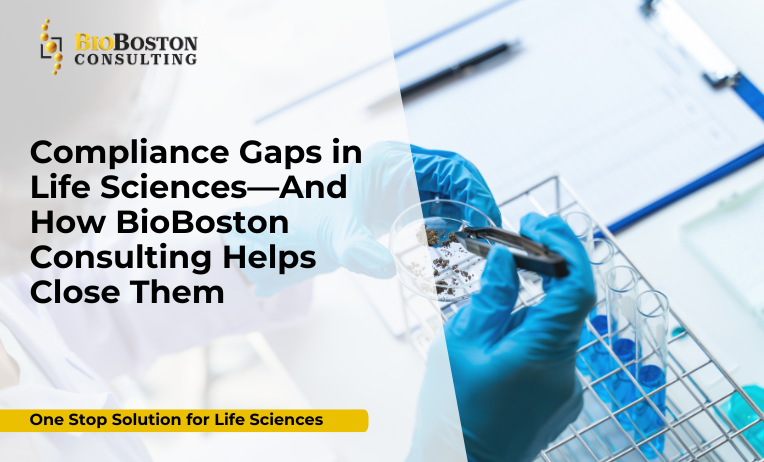 Data integrity and audit readiness in pharma