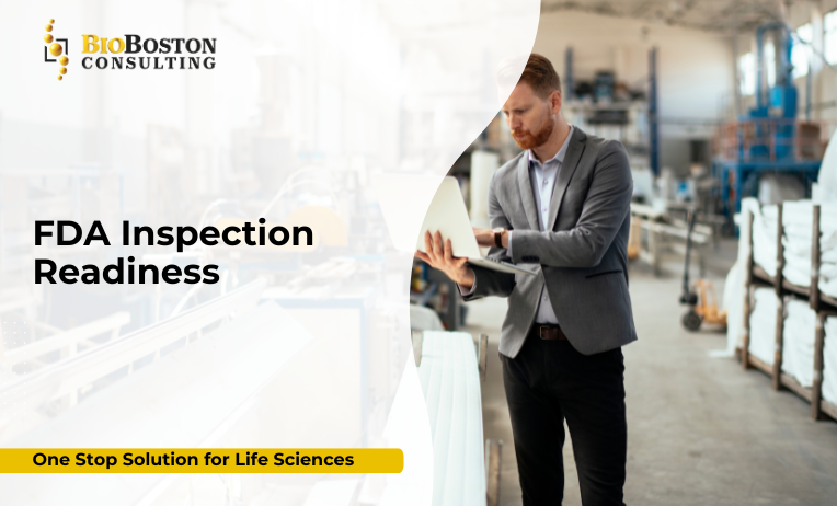 FDA inspection readiness services for life sciences organizations