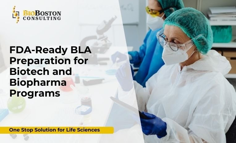 Why BLA Submission Success Requires More Than Strong Science