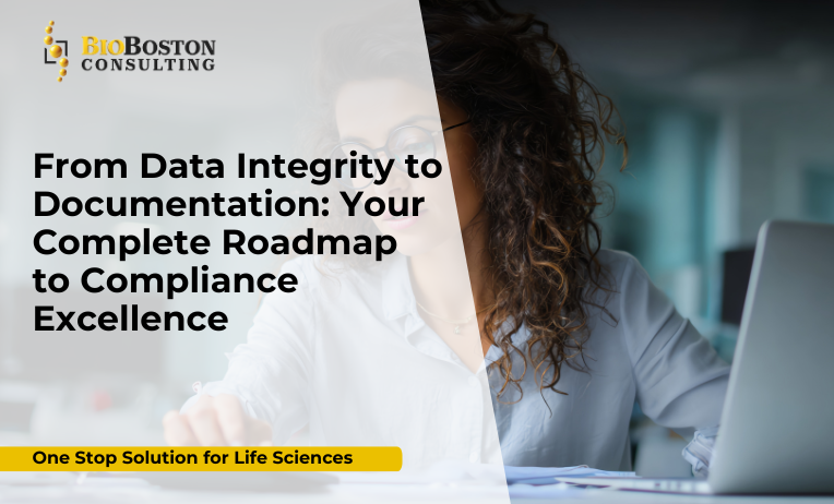 Data integrity and compliance roadmap in life sciences