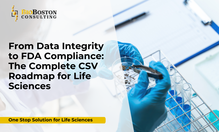 IQ OQ PQ system validation process