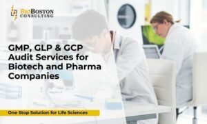 GMP audit consulting for pharmaceutical companies
