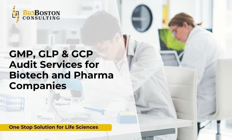 GMP audit consulting for pharmaceutical companies