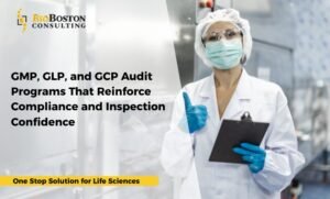 Risk-based GMP, GLP, and GCP audit programs for inspection readiness