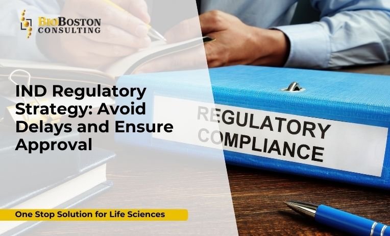 IND Regulatory Strategy: Avoid Delays and Ensure Approval 2 IND regulatory strategy for FDA submission