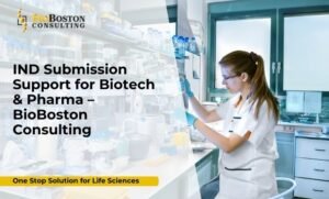 Life Sciences audit readiness process — BioBoston Consulting