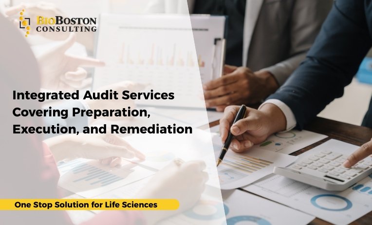Integrated Audit Services Covering Preparation, Execution, and Remediation 7 Integrated GxP audit services covering preparation, execution, and remediation