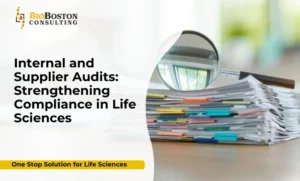 Internal audits and supplier audits for life sciences companies