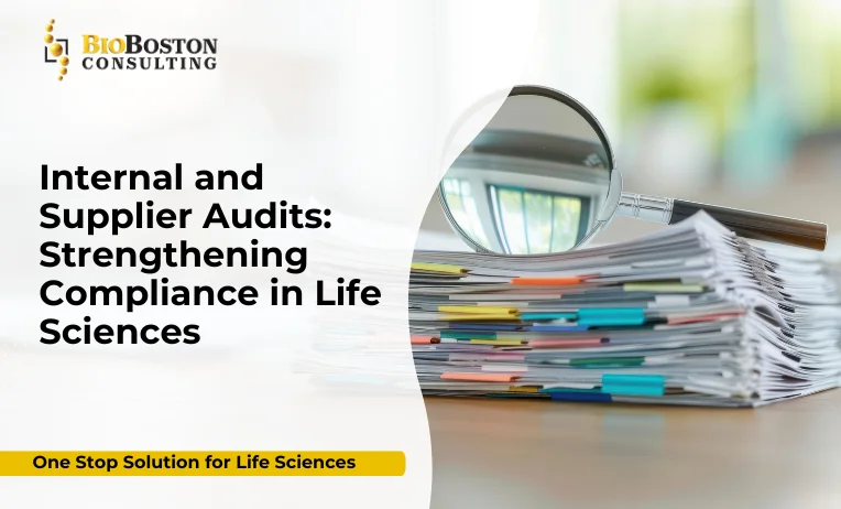 Internal & Supplier Audits in Life Sciences: From Compliance Obligation to Operational Advantage 5 Internal audits and supplier audits for life sciences companies