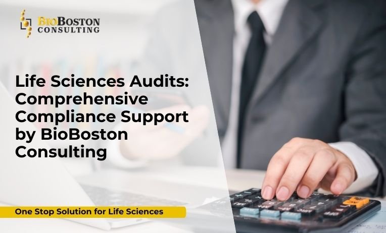 life sciences audit consulting by BioBoston