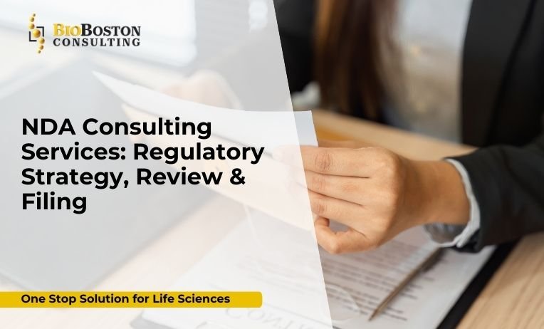 NDA Consulting Services: Regulatory Strategy, Review & Filing 4 NDA consulting services for FDA-ready submission and regulatory strategy