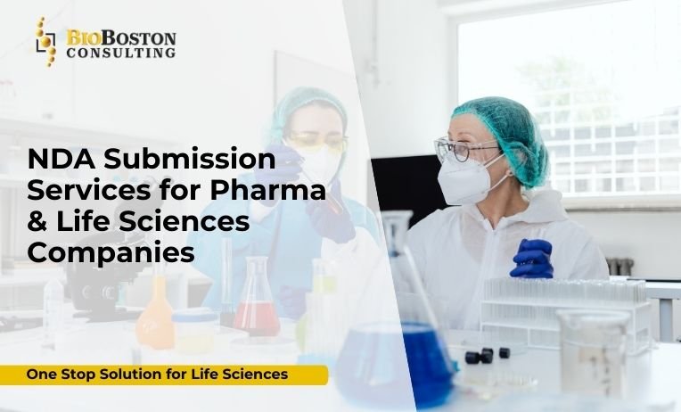 NDA Submission Services for Pharma & Life Sciences Companies 2 NDA submission services and audit readiness consulting for pharma companies