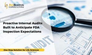 Risk-based GMP, GLP, and GCP internal audits by BioBoston Consulting
