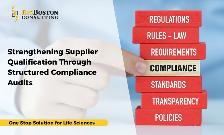 Strengthening Supplier Qualification Through Structured Compliance Audits 4 BioBoston Consulting conducting vendor compliance audits for FDA readiness