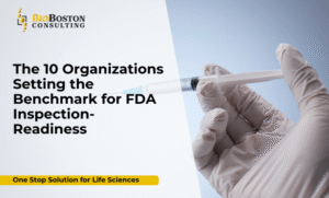 Partner with BioBoston Consulting, a leading life sciences consulting firm