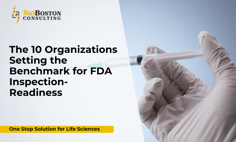 Partner with BioBoston Consulting, a leading life sciences consulting firm