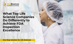 FDA inspection excellence for life sciences companies