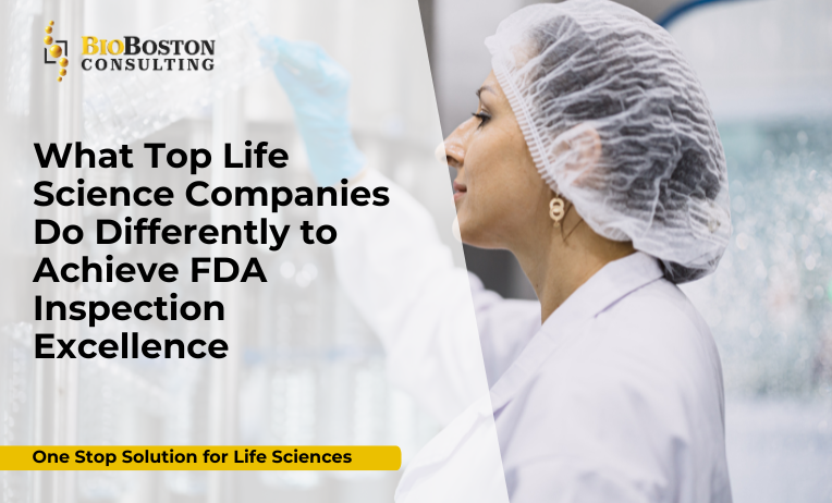FDA inspection excellence for life sciences companies