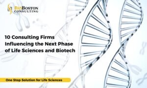 FDA inspection readiness consulting