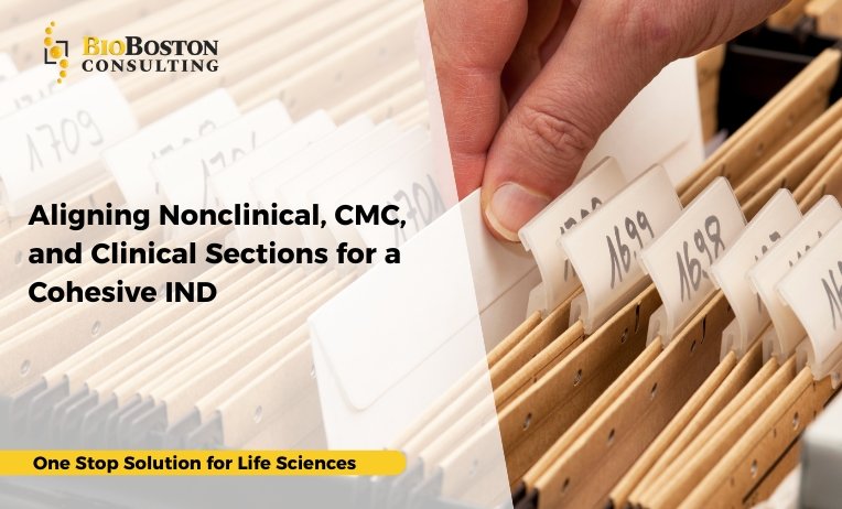 A strong IND submission is more than a collection of separate documents